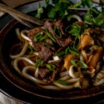 venison udon soup.