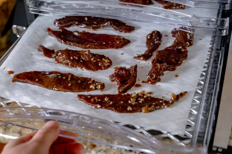 Homemade Teriyaki Venison Jerky Peak to Plate