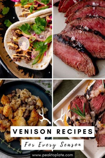 Venison Recipes for Every Season | Peak to Plate