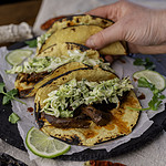 hand holding venison shank taco with apple slaw.