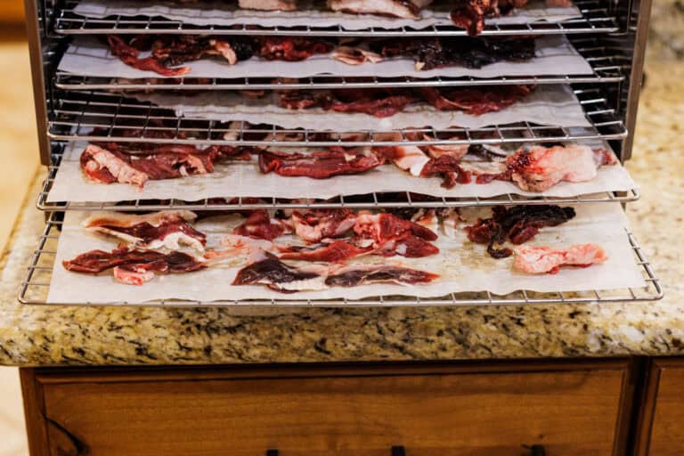 Image showcasing Homemade Venison Dog Treats | Peak to Plate