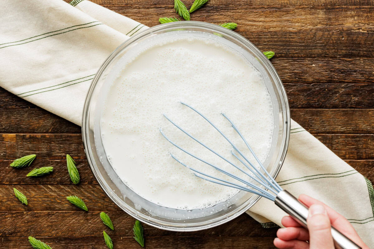 mixing ice cream base for spruce tip ice cream.