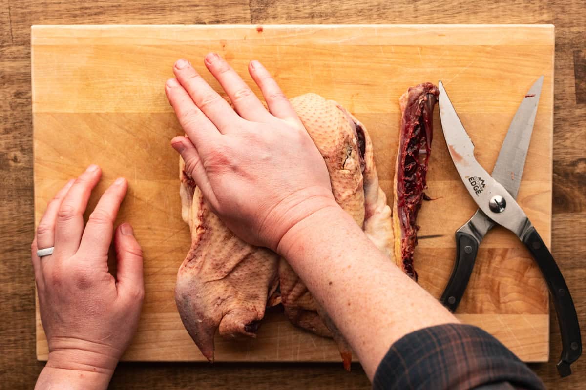 breaking duck breastbone with hand.