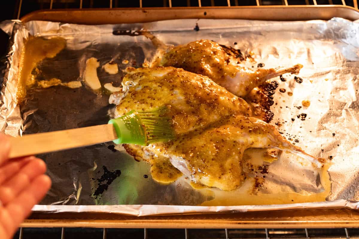 brushing honey mustard glaze on roast pheasant.