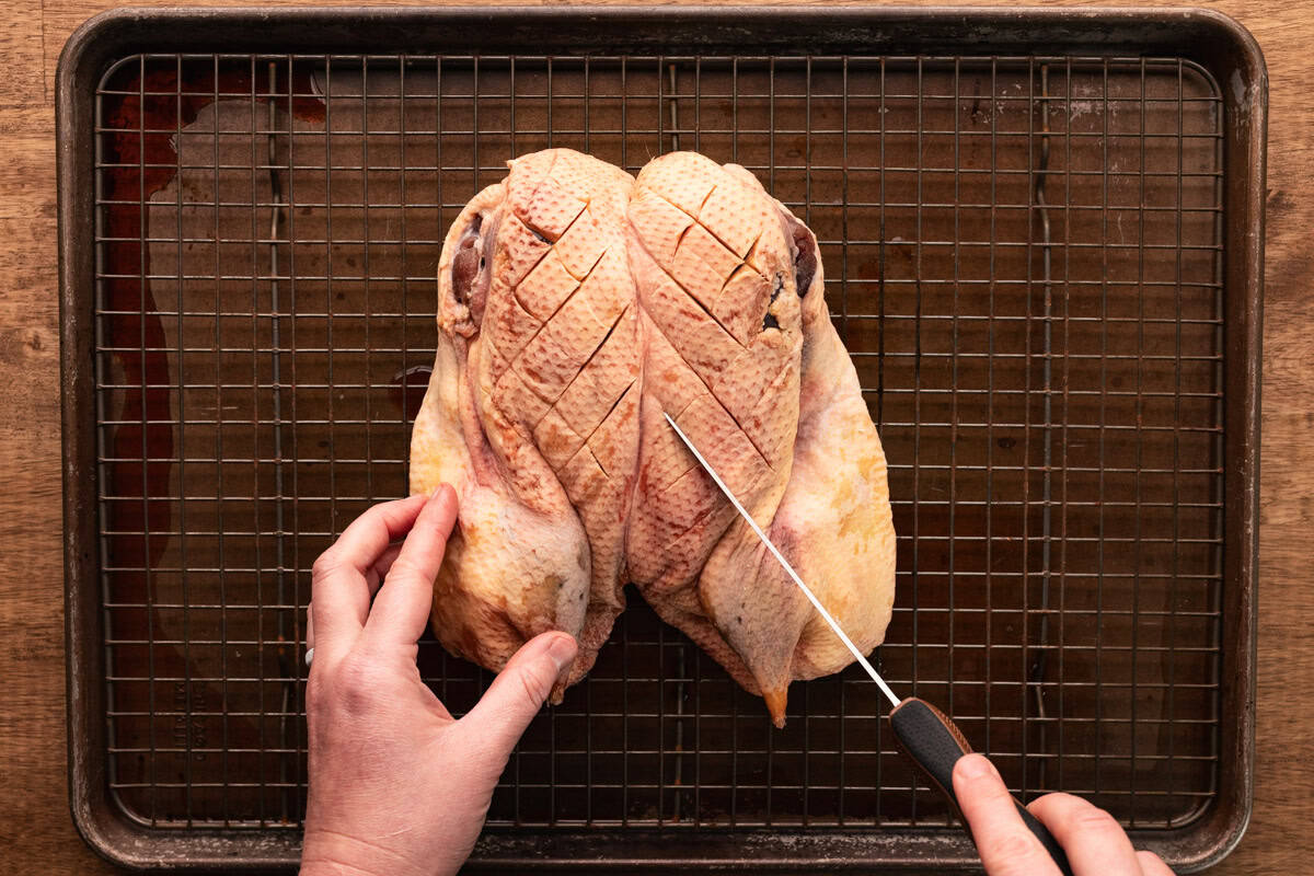 cutting slits in duck skin.