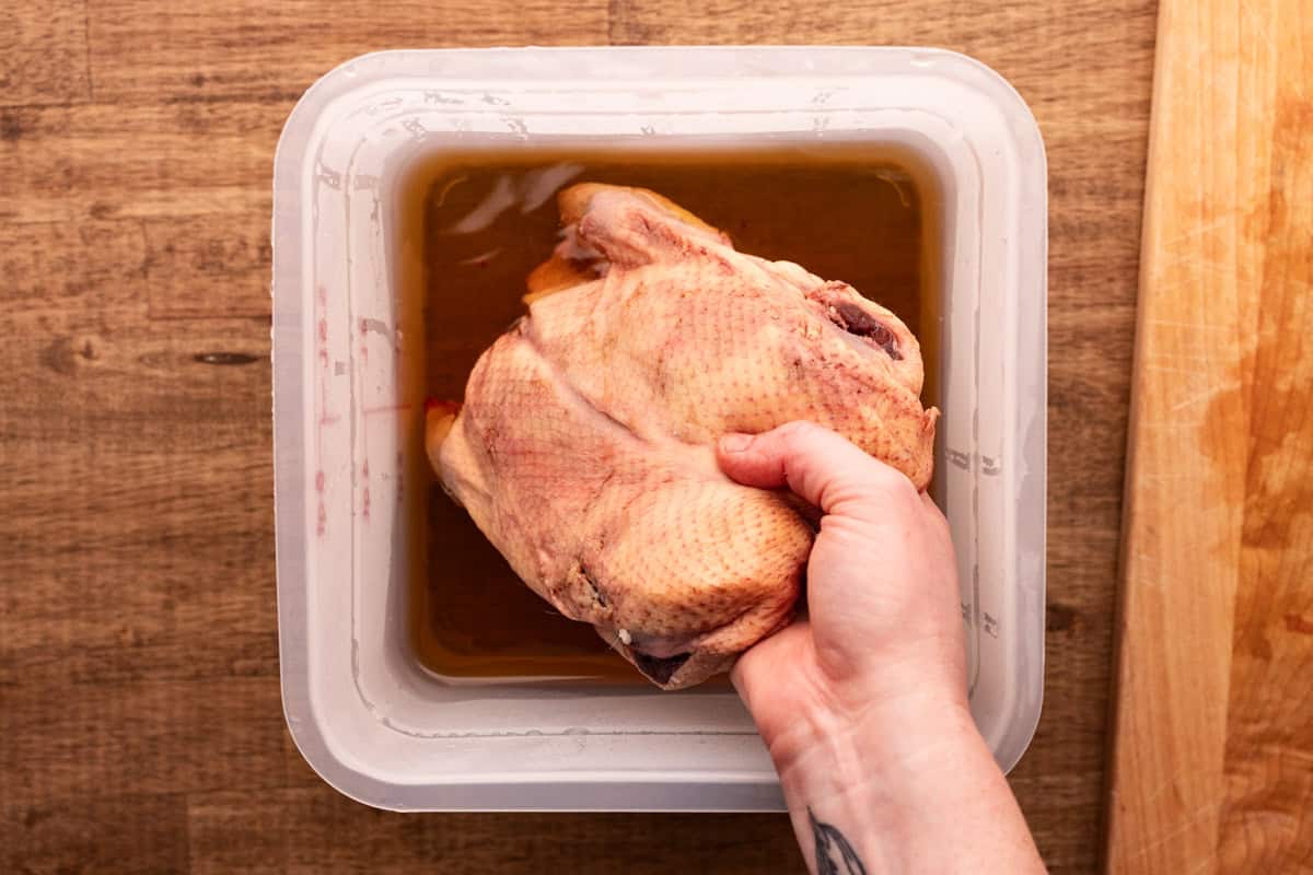 placing spatchcocked duck in brine.