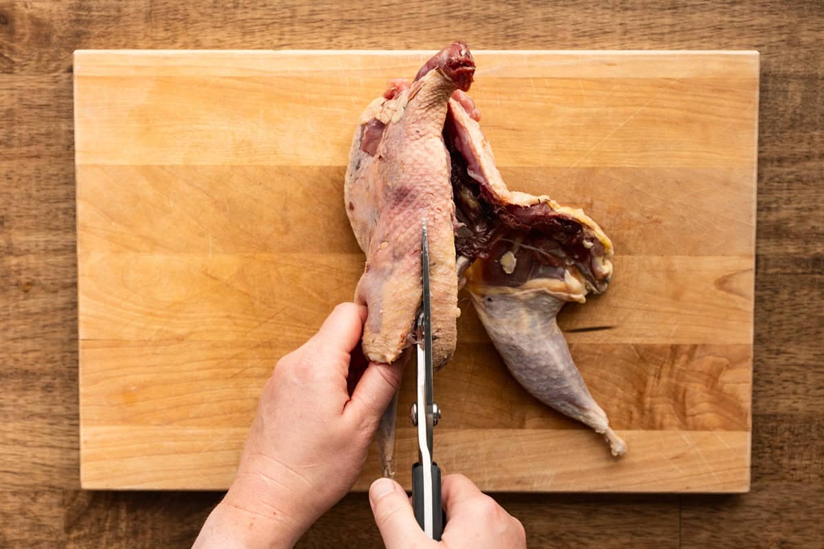 removing backbone from pheasant with poultry shears.
