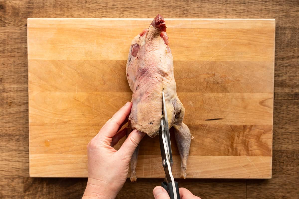 removing backbone from pheasant.