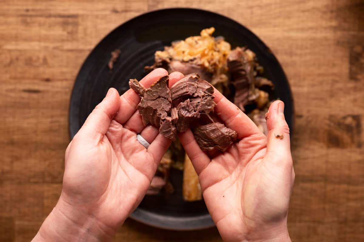 shredded venison meat in hands.