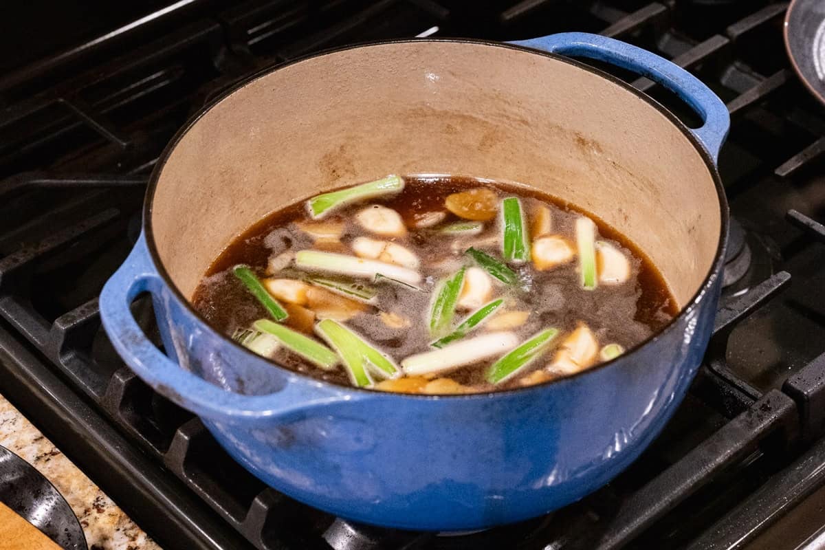 green onions and ginger in soy braise.