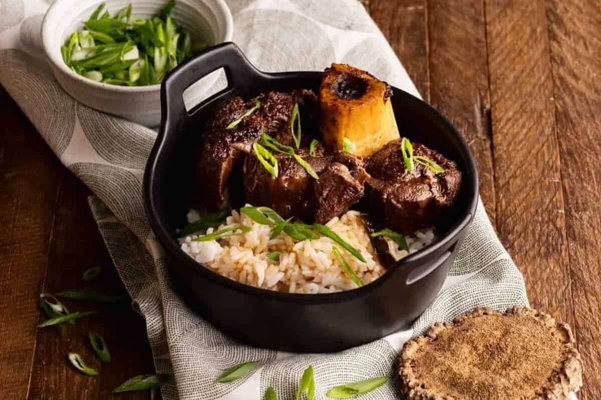 soy braised elk shank over rice with green onions.
