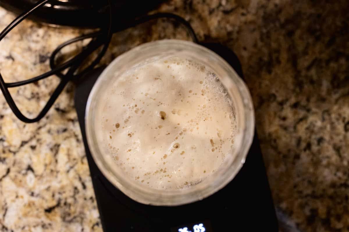 active sourdough starter with bubbles in jar.