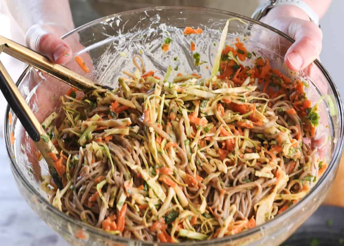soba noodles with vegetables and peanut sauce.