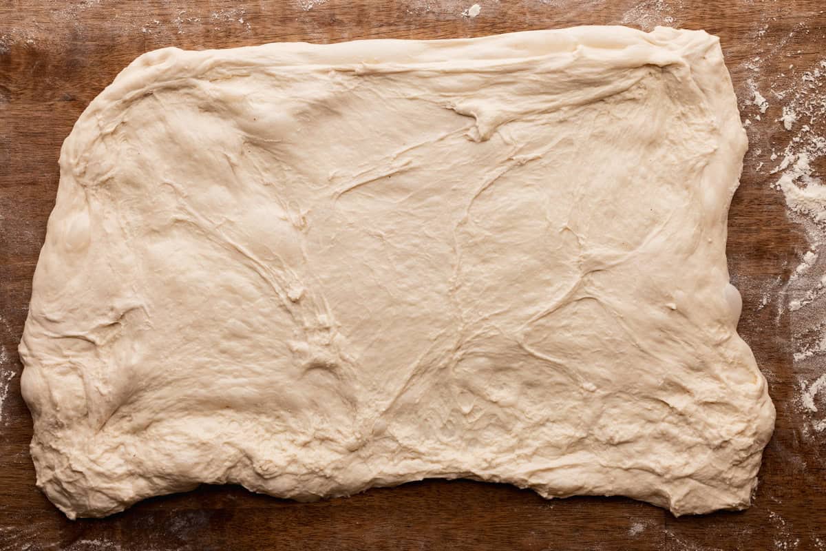 sourdough dough rectangle.